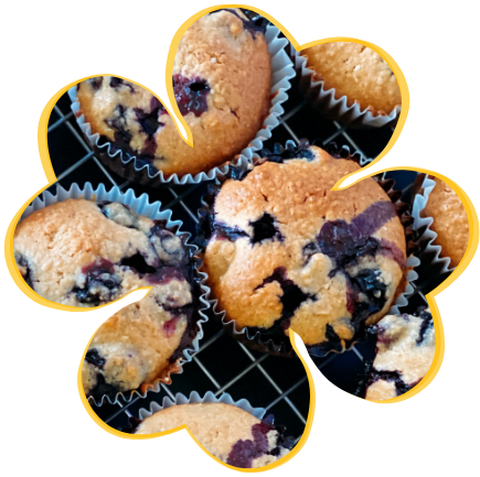 blueberry muffins illustrating the idea of inclusions to enhance muffin and cake flavors