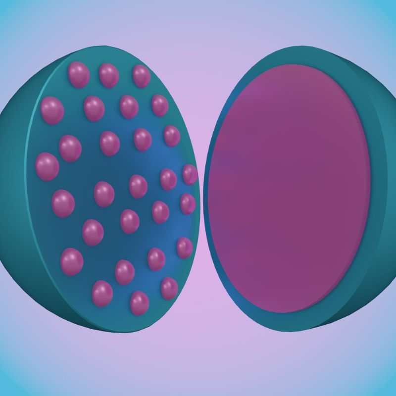 Micro-encapsulation technology in flavor emulsion development