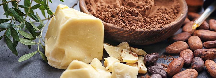 Cocoa butter block with powder and beans, raising issues of scale, regulation, and natural perception in fermentation
