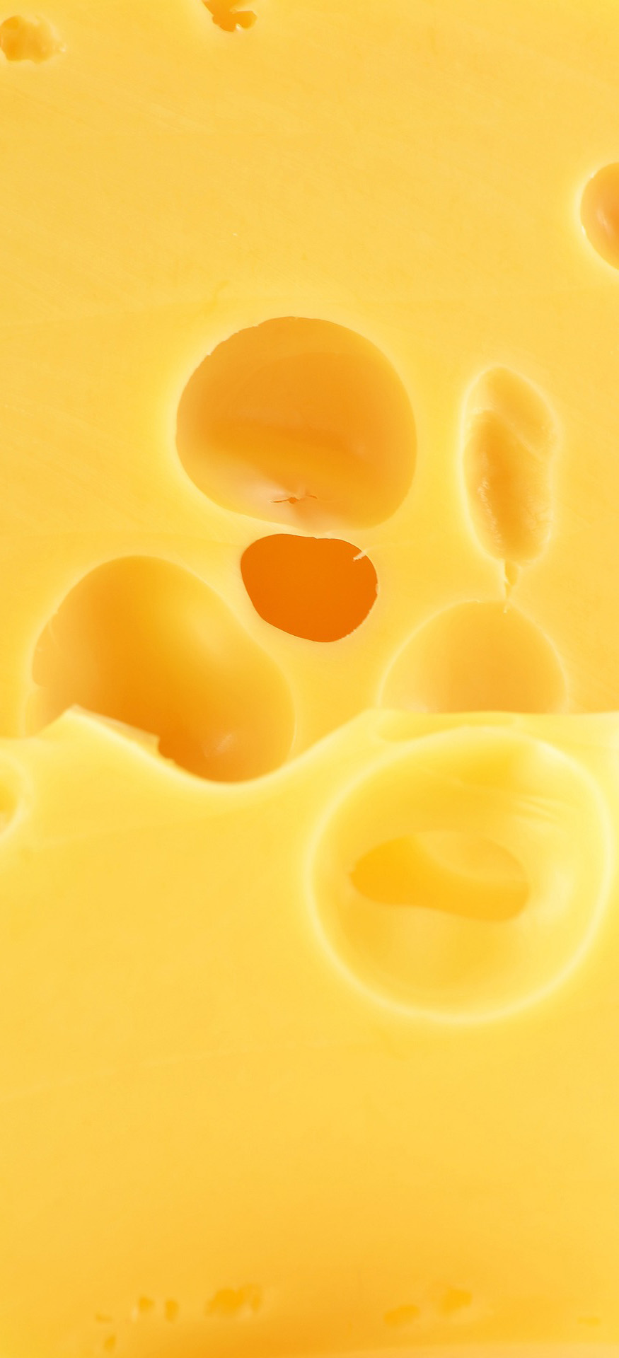 Creamy dairy texture close-up, showing how precision fermentation can replicate casein and whey without cows