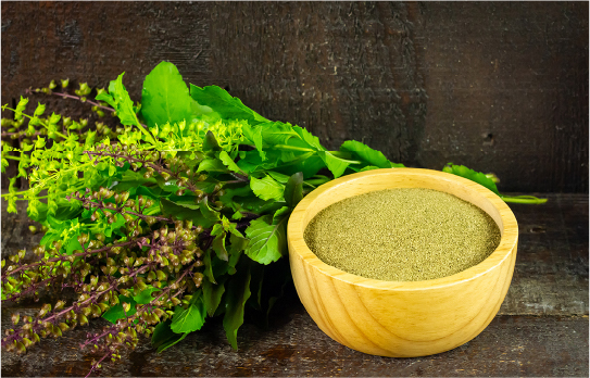 Green herbal powder and fresh herbs illustrating how botanicals and spices are balanced for depth without overpowering.