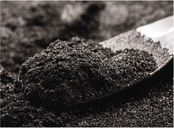 Dessert bowl with syrup, signaling shifted sweetness time–intensity from prebiotic fibers