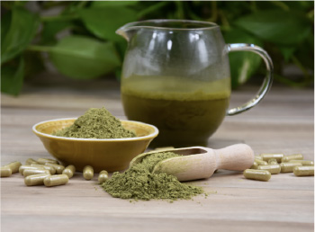 Plated dessert with blackberries, chocolate drizzle, and crisp tuile—showing layered flavors masking prebiotics off-notes