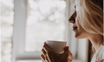 Plated dessert with blackberries, chocolate drizzle, and crisp tuile—showing layered flavors masking prebiotics off-notes